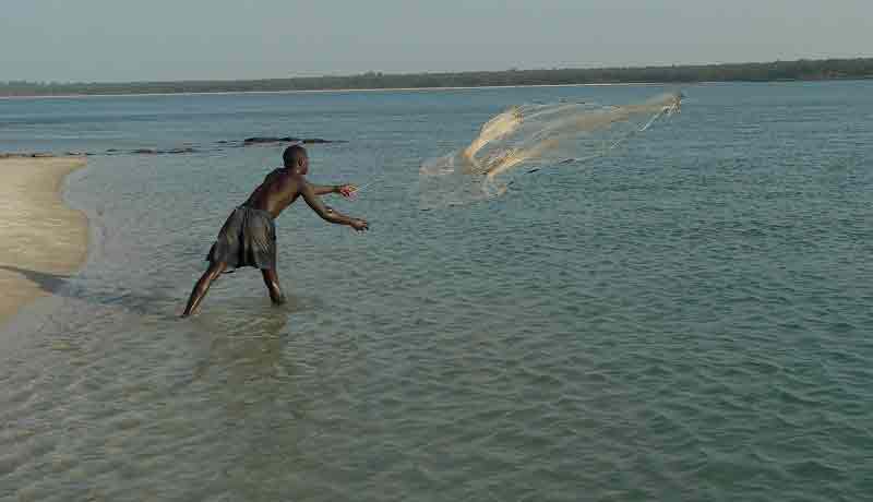 Mullet fishing with a net on the traditional Kere island in Bijagos