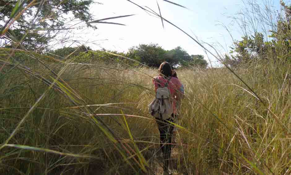 Ecotourism material and Backpack 