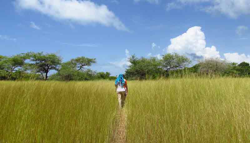 Eco-adventurers, adventure in Guinea-Bissau, West Africa