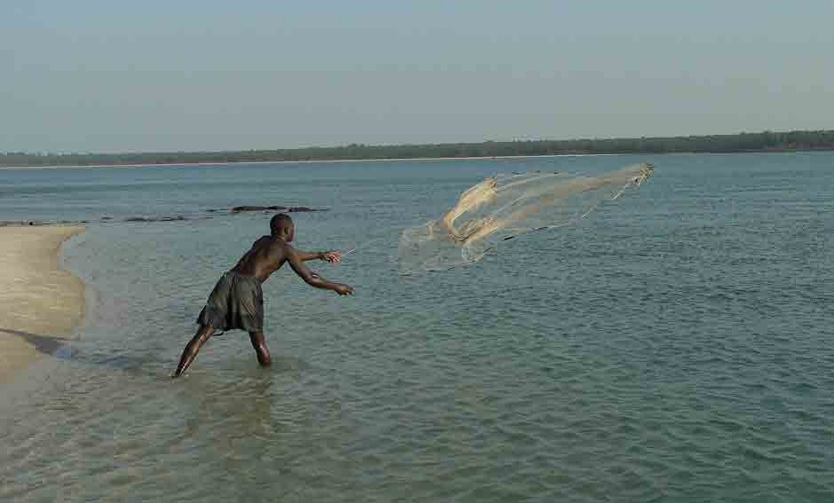 a net to catch fish on beach.