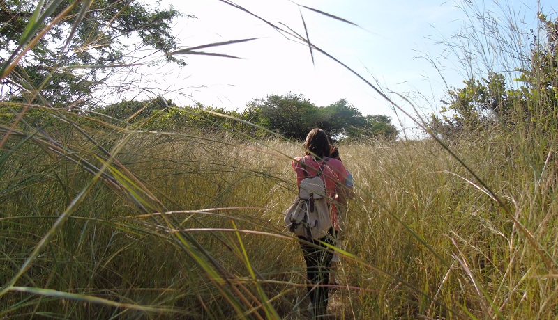 ballade en savane dans l archipel des bijagos ecotourisme en guinée bissau 