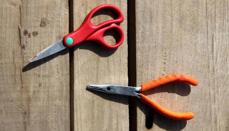 Pliers and scissors for fishing in bijagos