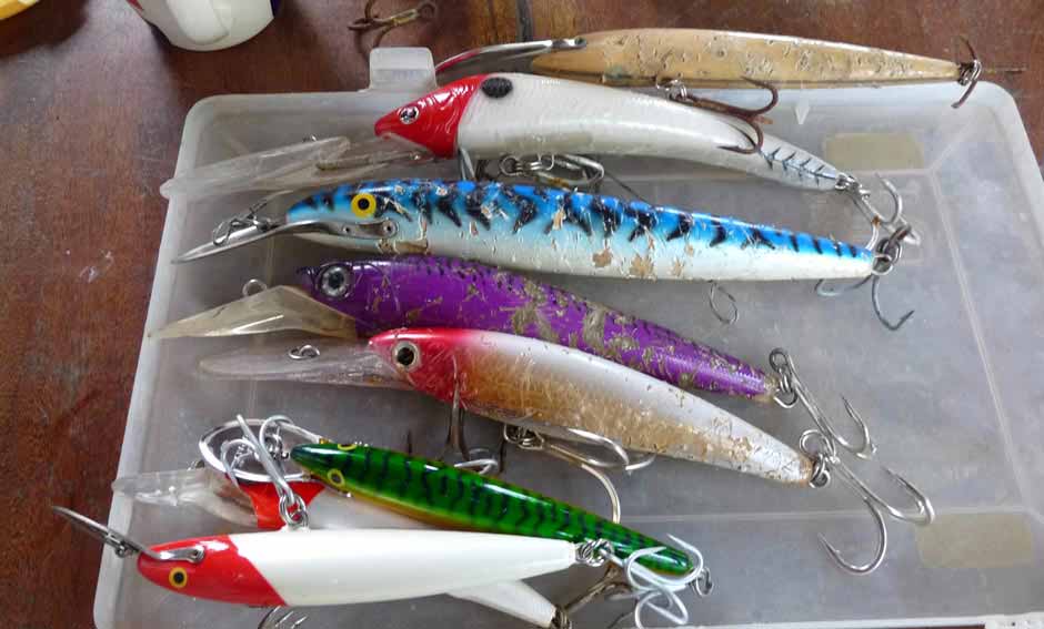 poisson pour traine en guinée Bissau