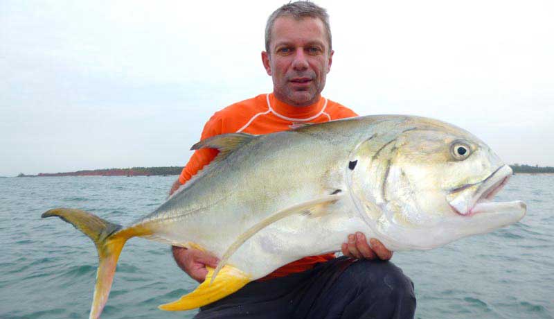 crevalle of bijagos catched by spinning or jiging