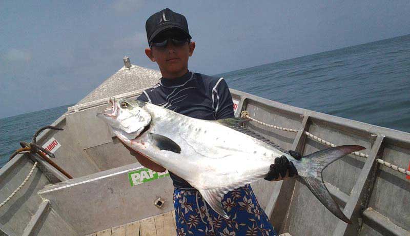 queenfish catched with popper in guinea bissau