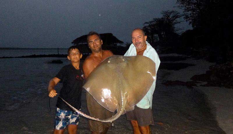 Common stingray caught by surfcasting on the Bijagos’ Caravella beach