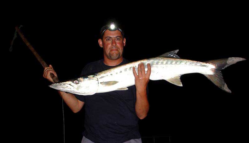 Barracuda catched by surfcasting during night session on kere bijagos